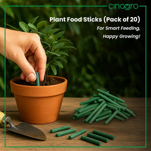 Plant Food Sticks - Organic Indoor Plant Nutrition