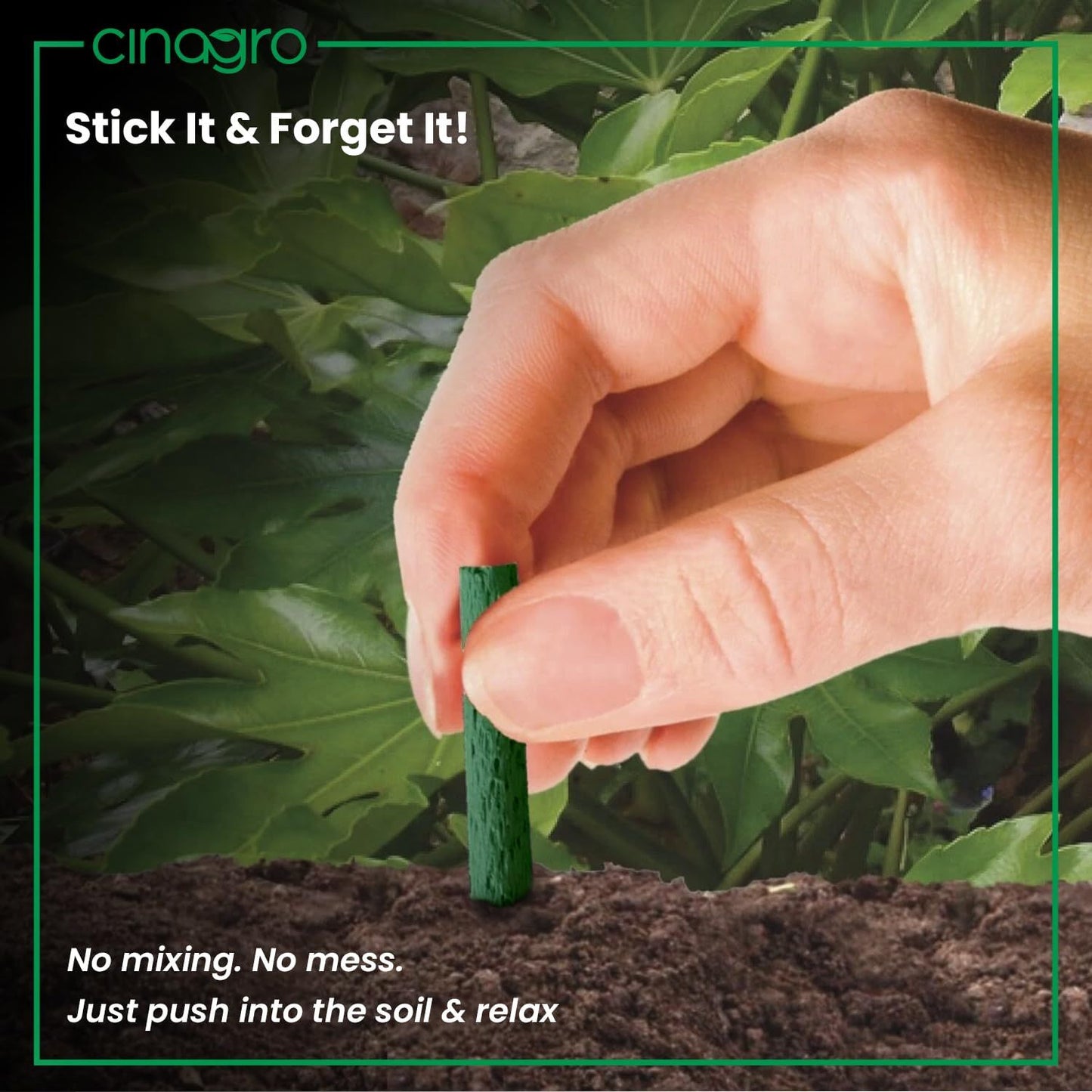 Plant Food Sticks - Organic Indoor Plant Nutrition