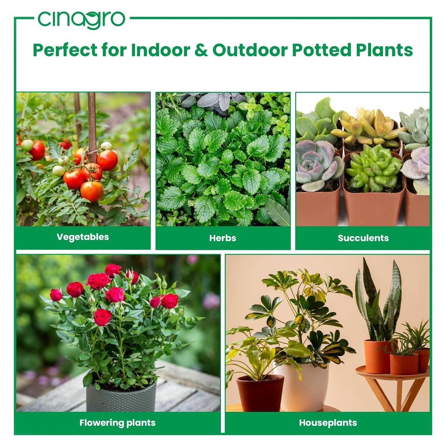 Plant Food Sticks - Organic Indoor Plant Nutrition